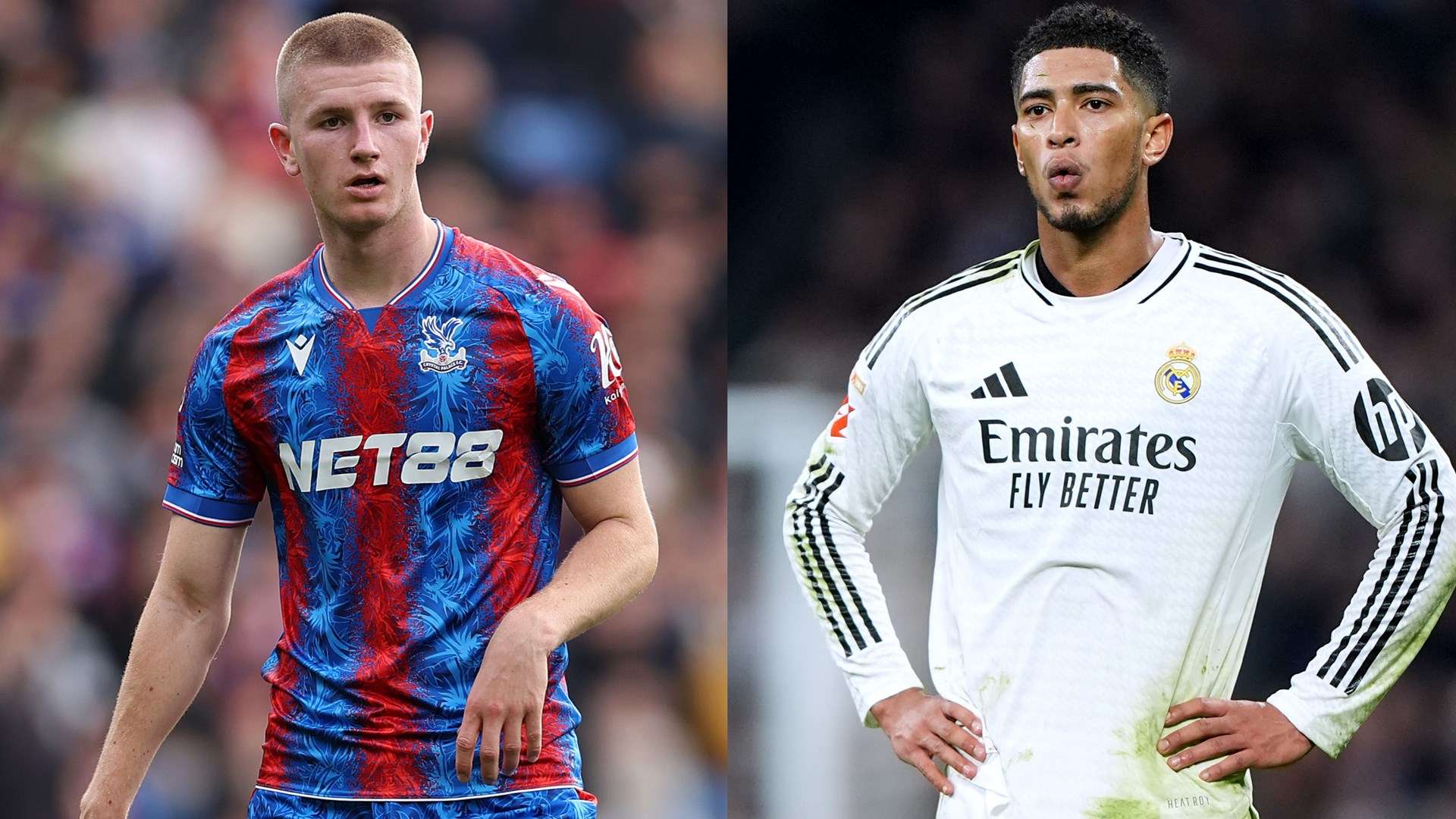 的节日气息 的节日气息