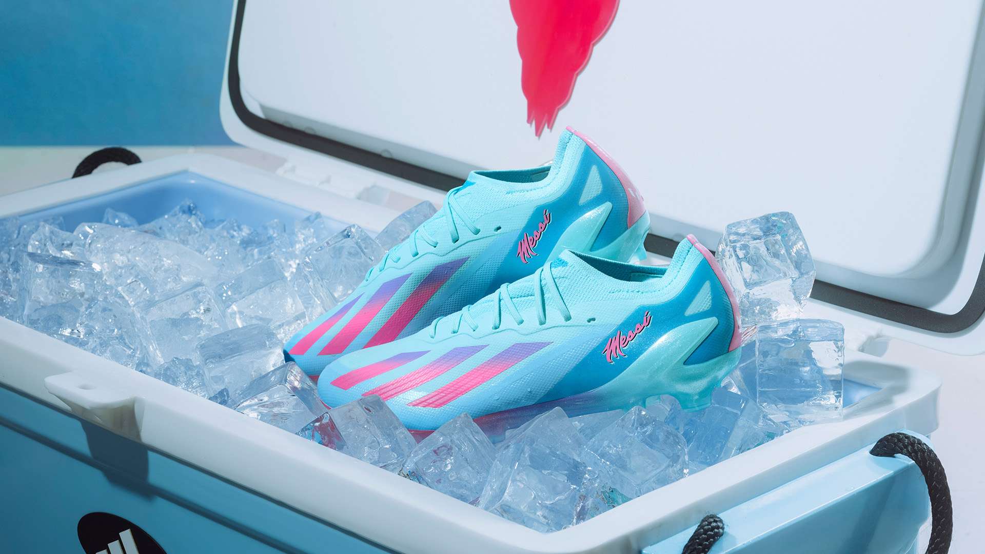 升团队的凝 升团队的凝